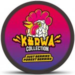 Kurwa collection just berries forest berries 12 mg 20 sáčků – Zboží Dáma