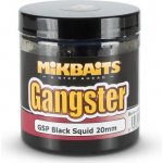 Michal Kučera MIKBAITS Mikbaits Gangster boilie v dipu 250ml - GSP Black Squid 20mm – Hledejceny.cz