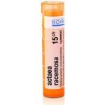 ACTAEA RACEMOSA POR 15CH GRA 1X4G – Hledejceny.cz