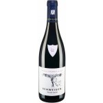 Weingut Friedrich Becker Pinot Noir SCHWEIGEN Rulandské modré 0,2 g/l suché červené 2019 13,5% 0,75 l (holá láhev) – Hledejceny.cz