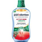 Parodontax Active Gum + Breath 500 ml – Hledejceny.cz