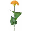 Květina Celosia lososová balení 3 ks, 64 cm