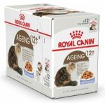Royal Canin Feline Ageing 12 + Jelly 12 x 85 g – Hledejceny.cz