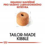 Royal Canin Sterilised Labrador Retriever Adult 12 kg – Sleviste.cz