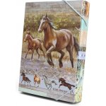 ARGUS A4 Wild horses 12310414 – Sleviste.cz