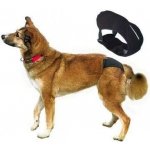 Trixie Hárací kalhotky de Luxe S 24-31 cm – Zboží Mobilmania