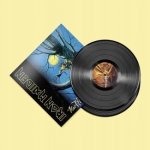 Iron Maiden - Fear Of The Dark LP – Zboží Mobilmania