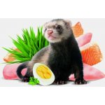 Brit Animals Ferret 0,7 kg – Hledejceny.cz