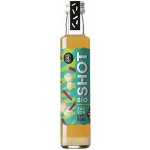 Koldokol Bio Shot zázvor a citrón 250 ml – Zboží Dáma