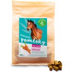 ZELENÁ ZEMĚ Konopné pamlsky pro koně příchuť mrkev 0,5 kg – Zboží Dáma