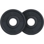 Gorilla Sports litina 1,25 kg 30/31 mm – Hledejceny.cz