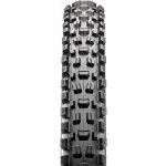 Maxxis ASSEGAI 29x2.50 kevlar – Hledejceny.cz