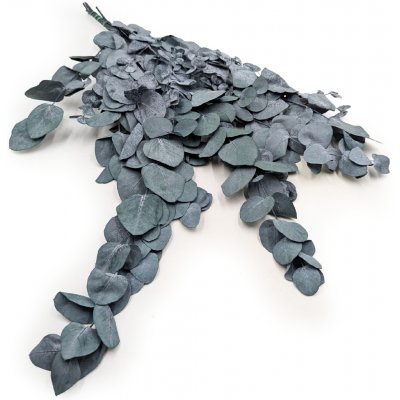 mech-mech.cz Stabilizovaný eukalyptus Blahovičník - zelený – Zboží Dáma