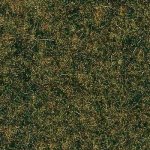 Auhagen travní koberec lesní podrost 50x35cm 75114 – Hledejceny.cz