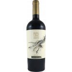 Clos de Luz Massal 1945 Carmenere červené 2020 13,5% 0,75 l (holá láhev) – Hledejceny.cz