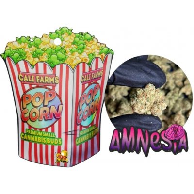 Califarms Amnesia 12,88 % CBD 0,07% THC 10 g – Sleviste.cz