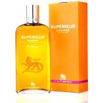 A. De Fussigny Superieur 40% 0,7 l (karton) – Zboží Dáma