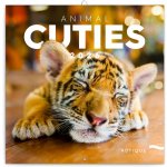 poznámkový Mláďata 30 x 30 cm 2026 – Sleviste.cz