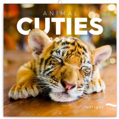 poznámkový Mláďata 30 x 30 cm 2026 – Sleviste.cz