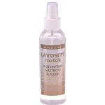 Lavosept K Citron dezinfekce ploch a nástrojů roztok na mytí pro profesionální použití více jak 75% alkoholu 200 ml rozprašovač – Zboží Dáma