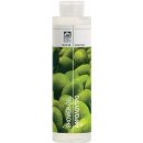 Bodyfarm sprchový gel Olivový olej Shower Gel Olive Oil 250 ml