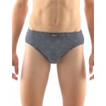 Gina bavlněné chlapecké slipy 61003P modrá – Zboží Mobilmania