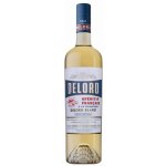 Armagnac-Delord Floc de Gascogne Blanc 17% 0,75 l (holá lahev) – Sleviste.cz