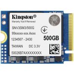 Kingston NV3 500GB, SNV3SM3/500G – Zboží Živě