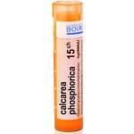 CALCAREA PHOSPHORICA POR 15CH GRA 1X4G – Hledejceny.cz