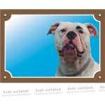 Dafiko Tabulka americký buldok – Sleviste.cz