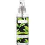 Ryor Osvěžující mlha s vůní zeleného čaje Matcha 100 ml – Hledejceny.cz