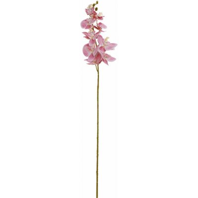 KS ORCHIDEA PHALAENOPSIS STARO-RUŽOVÁ 102CM – Hledejceny.cz