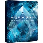 Aquaman a ztracené království 4K BD – Zboží Dáma