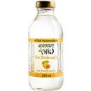 Absolutely Wild Bio Březová voda s meruňkou 330 ml