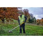 DeWalt DCM561P1 – Zboží Dáma