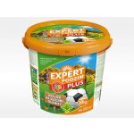 Forestina EXPERT PODZIM plus trávníkové hnojivo 10 kg – Zboží Mobilmania