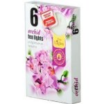 Admit Tea Lights Orchid 6 ks – Sleviste.cz