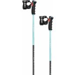 Leki Artena Airfoil 3D 2024/25 – Zboží Dáma