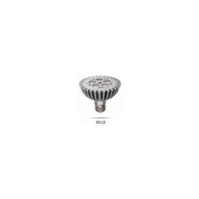 Wojnarowscy LED PAR30 E27 230V 5W 5LED Teplá bílá DIM Stmívatelná – Hledejceny.cz