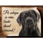 Sport hobby Cedulka Cane Corso Po vstupu CP019 20 x 15 cm – Zboží Dáma