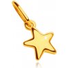 Přívěsky Šperky Eshop Přívěsek ve žlutém zlatě lesklá pěticípá hvězdička S4GG249.36