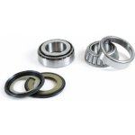 PROX ložiska řízení s těsnícími prvky HONDA CRM 125R 93-99, NX 125 95-97, KAWASAKI KX 65 00-09, KX 80/85 86-20,YAMAHA YZ 85 02-24, kyvného ramene HONDA GL1800 (22-1022) – Hledejceny.cz