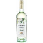 Casa Charlize Floreale Pinot Grigio 12% 0,75 l (holá láhev) – Hledejceny.cz