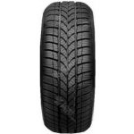 Tigar Winter 1 225/45 R17 94H – Hledejceny.cz