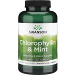 Swanson Chlorofyl + Máta 500 cucací tablety – Hledejceny.cz
