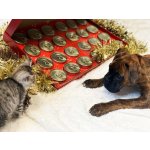 Sokol Falco Falco Adventní kalendář pro psy a kočky 24 x 120 g – Zboží Dáma