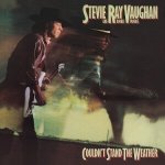 Stevie Ray Vaughan - Couldn't Stand the Weather (Yellow Marble Coloured) CLR LTD 2 LP – Hledejceny.cz