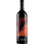 Zyme 60 20 20 Cabernet červené 2020 15% 0,75 l (holá láhev) – Hledejceny.cz