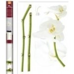 Samolepicí dekorace White Orchid 57714 / Samolepky na zeď Crearreda (70 x 100 cm) – Hledejceny.cz