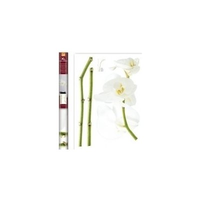 Samolepicí dekorace White Orchid 57714 / Samolepky na zeď Crearreda (70 x 100 cm) – Hledejceny.cz